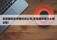 宣亚国际区块链科技公司[宣亚国际是什么概念股]