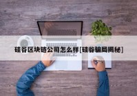 硅谷区块链公司怎么样[硅谷骗局揭秘]